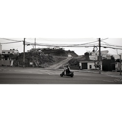 dailyPhoto8